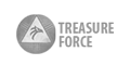 Treasure Force TV